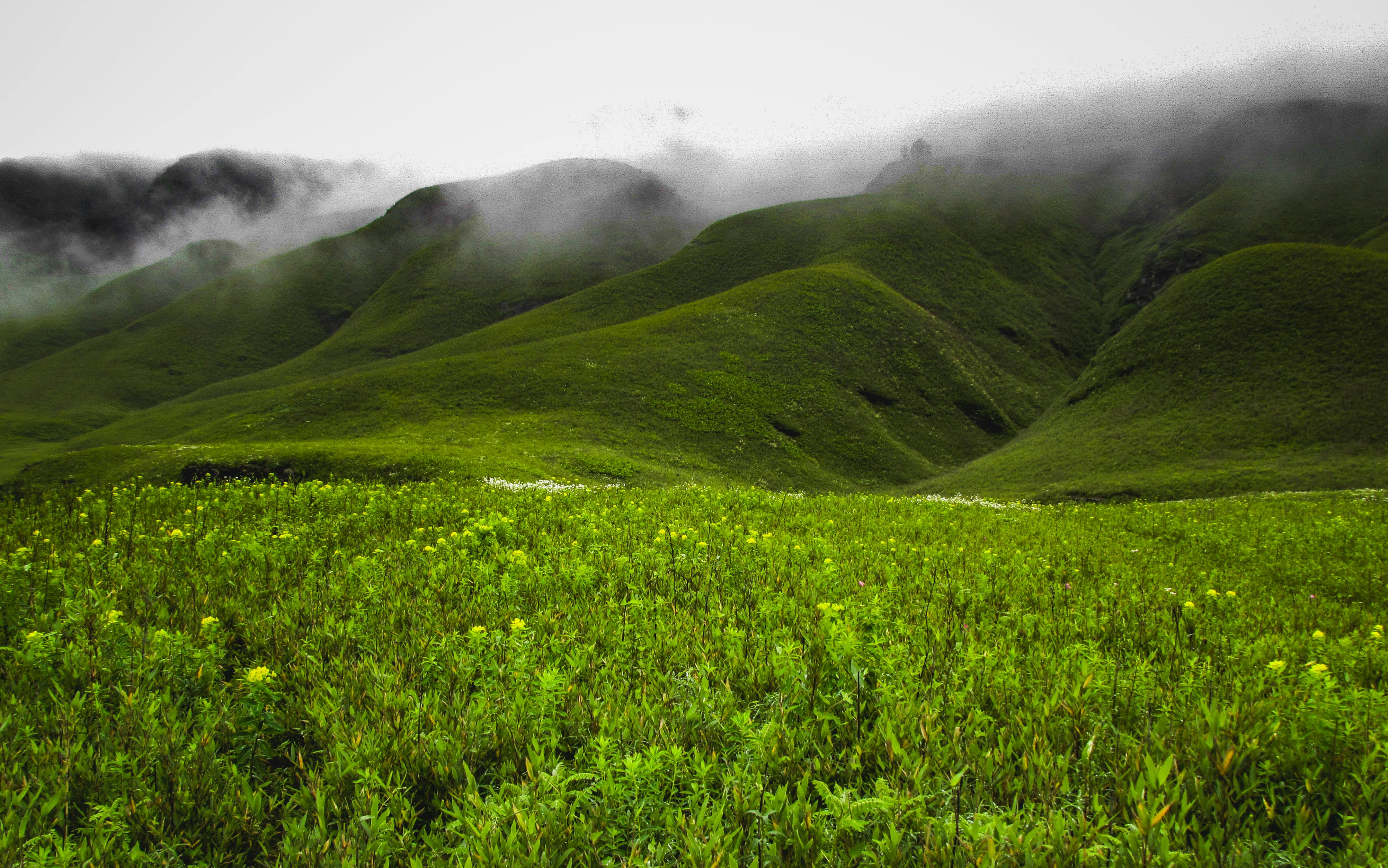 Nagaland